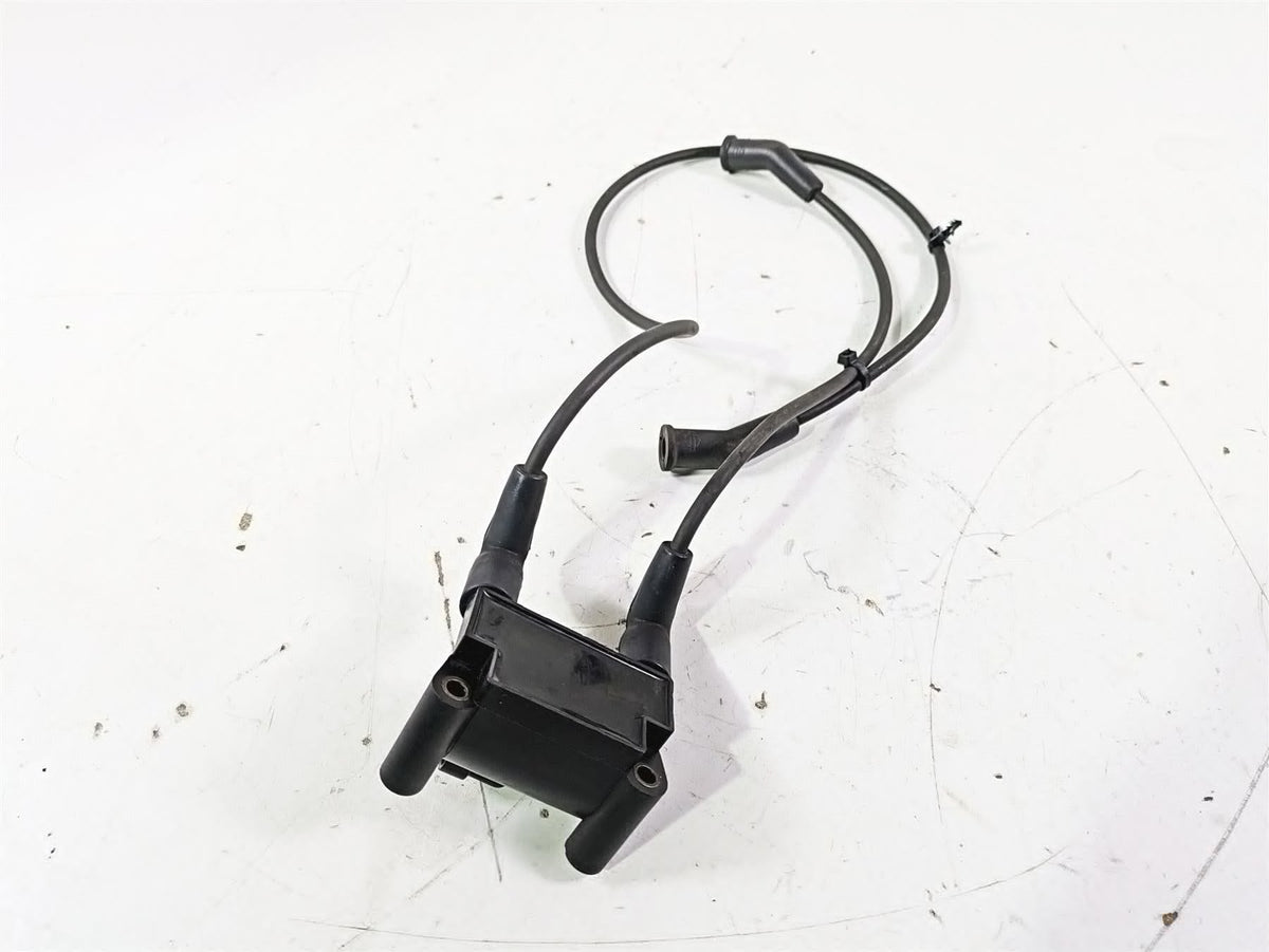 2016 Harley Touring FLTRX Road Glide Ignition Coil & Wires Set Delphi 31696-07A {{ shop.shopifyCountryName }} - Mototech271