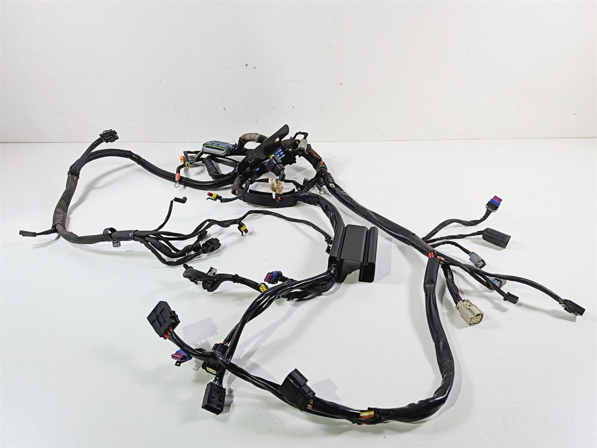 2009 Harley FXCWC Softail Rocker Main Wiring Harness Loom - No Cuts 70452-08 {{ shop.shopifyCountryName }} - Mototech271