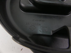 2020 Harley Sportster XL1200 NS Iron Air Cleaner Breather Filter Box 29000015A