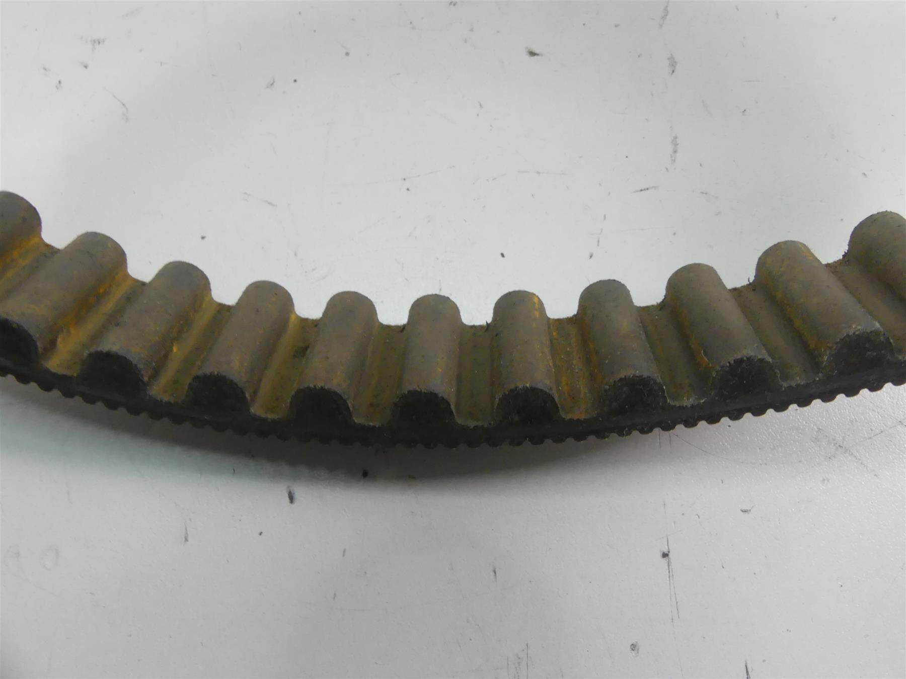 2010 Harley FXDWG Dyna Wide Glide Rear Drive Belt 131T 1" Wide 40046-07 {{ shop.shopifyCountryName }} - Mototech271