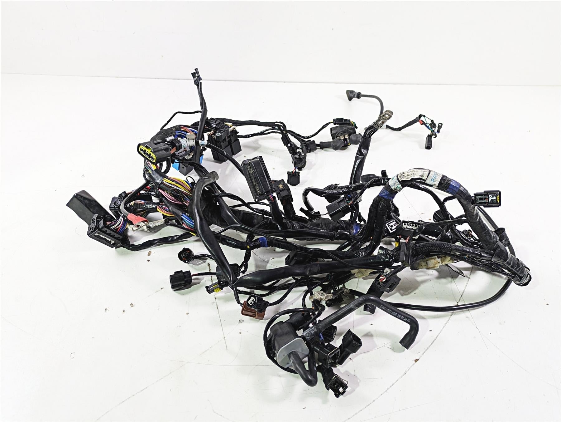 2019 Triumph Speed Triple RS 1050 Wiring Harness Loom -No Cuts T2502526 | Mototech271