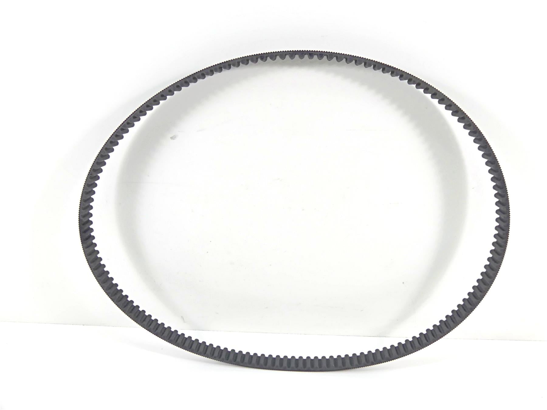 2005 Harley Sportster XL1200 C Nice Rear Drive Belt 137T 1 1/8" 40571-04B {{ shop.shopifyCountryName }} - Mototech271
