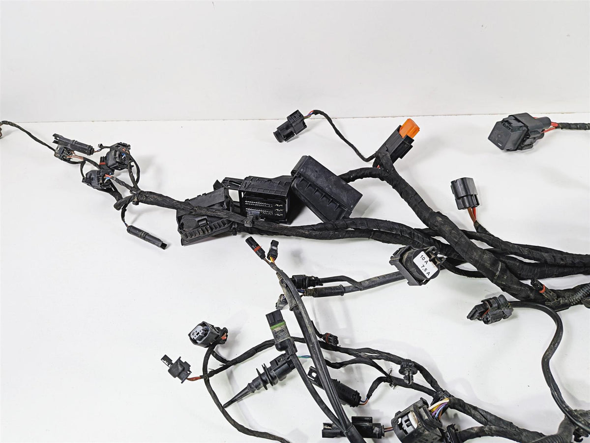 2023 BMW F850GS K81 Main Wiring Harness Loom - No Cuts 61118409327 {{ shop.shopifyCountryName }} - Mototech271