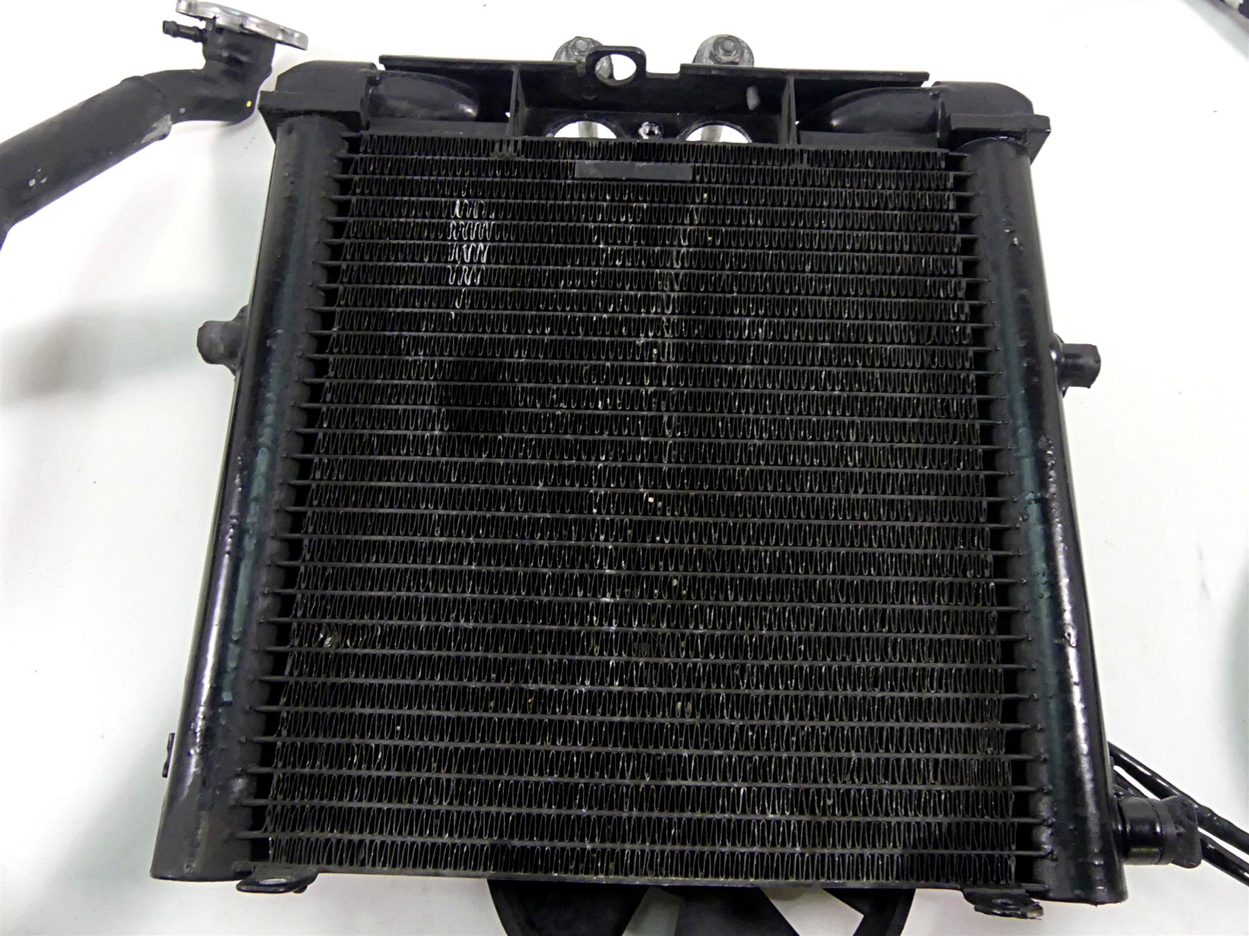 2014 Harley VRSCF Muscle V-Rod Radiator Fans Hoses Set 26721-04C 26800027 {{ shop.shopifyCountryName }} - Mototech271