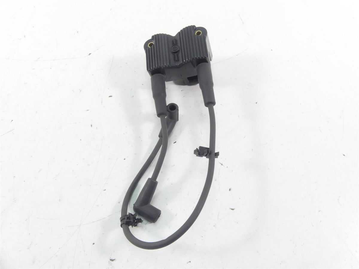 2015 Harley FXDF Dyna Fat Bob Delphi Ignition Coil Wires Plugs Set 31696-07A {{ shop.shopifyCountryName }} - Mototech271
