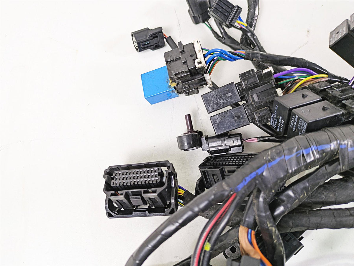 2013 Triumph Tiger 1215 Explorer Wiring Harness Loom - No Cuts T2501095 {{ shop.shopifyCountryName }} - Mototech271
