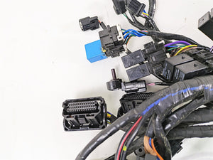 2013 Triumph Tiger 1215 Explorer Wiring Harness Loom - No Cuts T2501095