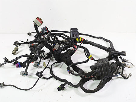 2016 Harley FXDL Dyna Low Rider Main Wiring Harness Loom - No Abs -Read 69200455 {{ shop.shopifyCountryName }} - Mototech271
