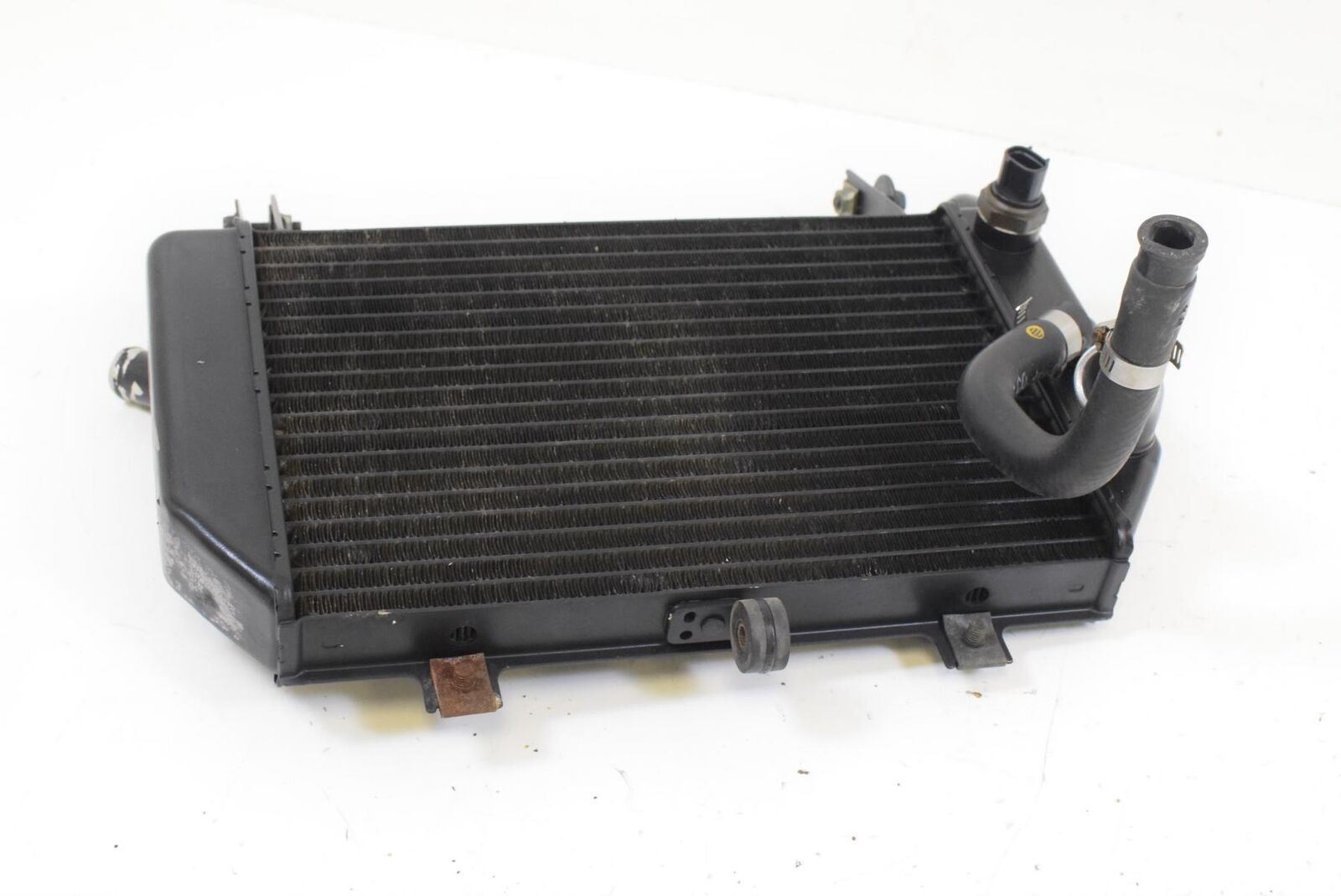 2000 Suzuki TL1000R TL1000 Lower Coolant Radiator NICE SHAPE NO LEAK 17720-02FA0 {{ shop.shopifyCountryName }} - Mototech271