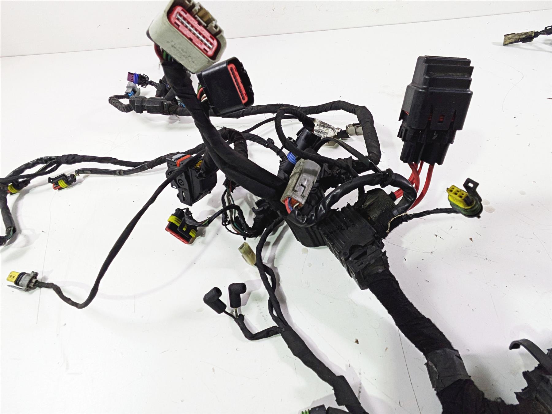 2016 Harley FXDL Dyna Low Rider Main Wiring Harness Loom - No Abs -Read 69200455 {{ shop.shopifyCountryName }} - Mototech271