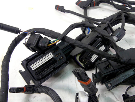 2009 BMW R1200 GS K25 Main Wiring Harness Esa Heat Abs 61117726669 7718025 {{ shop.shopifyCountryName }} - Mototech271