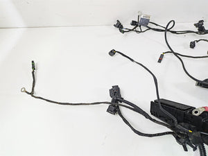 2017 BMW R1200 GS K50 Main & Engine Wiring Harness Abs Esa - Read 61118350519