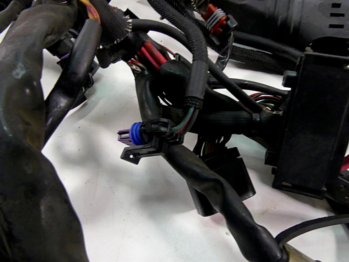 2017 Harley XL1200 CX Sportster Roadster Wiring Harness Keyless Abs 69200479B {{ shop.shopifyCountryName }} - Mototech271