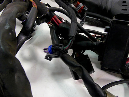 2017 Harley XL1200 CX Sportster Roadster Wiring Harness Keyless Abs 69200479B {{ shop.shopifyCountryName }} - Mototech271