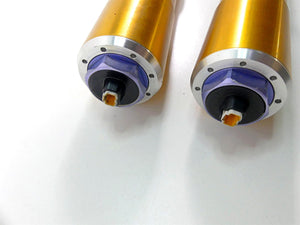 2012 Ducati Panigale 1199S Straight Ohlins Front Fork Legs 34420411A 34520411A | Mototech271