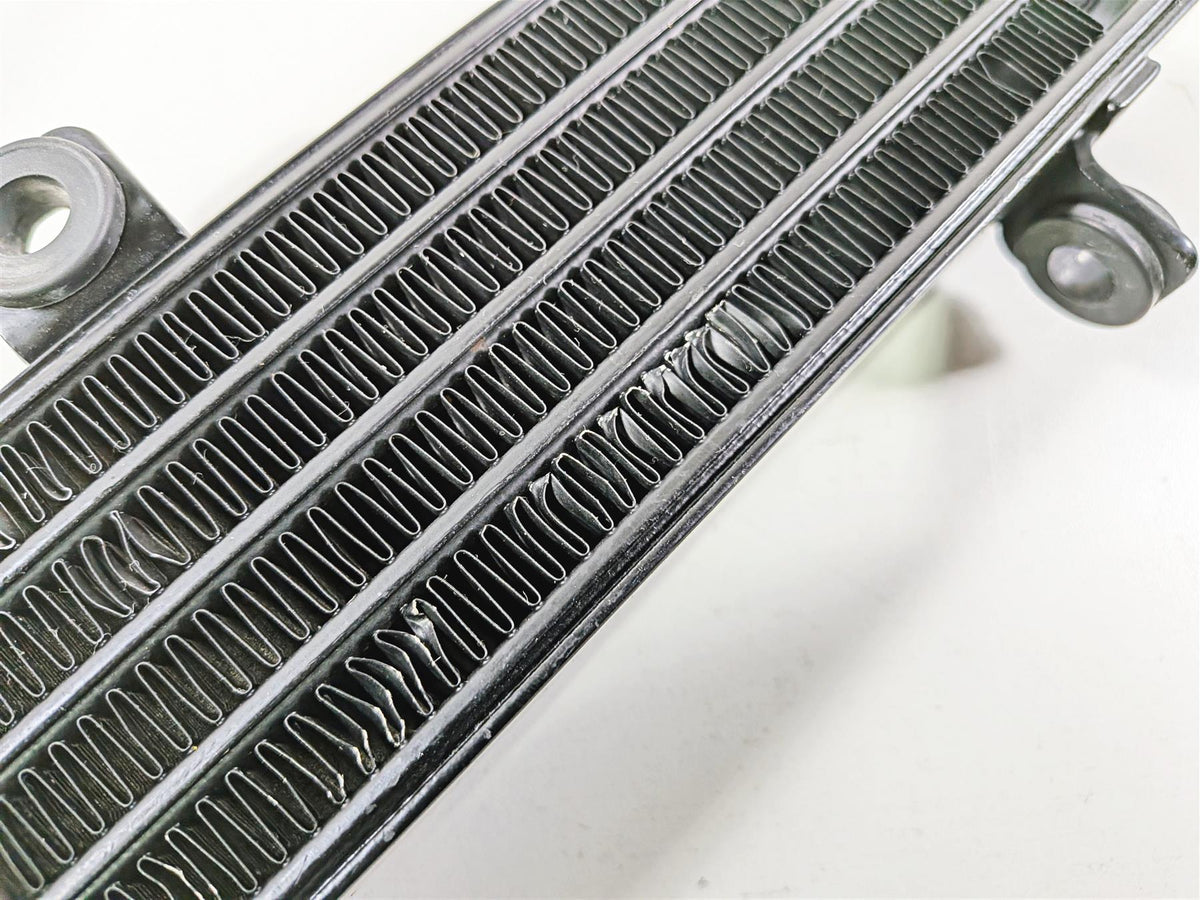 2019 Triumph Speed Triple RS 1050 Oil Cooler Radiator & Lines T2100486 {{ shop.shopifyCountryName }} - Mototech271