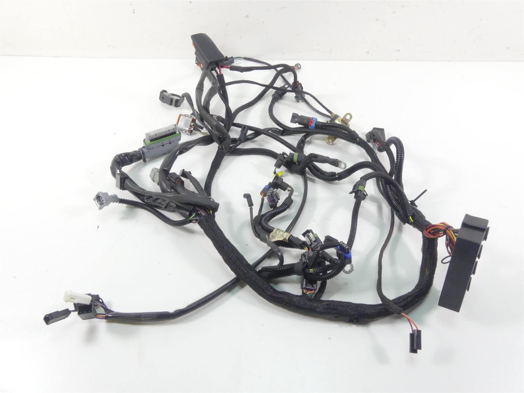 2006 Harley VRSCD Night Rod Main & Engine Wiring Harness Set - No Cuts 70125-06 {{ shop.shopifyCountryName }} - Mototech271