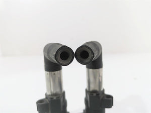 2018 BMW R nineT Urban GS K33 Ignition Coil Stick L-Bow Set 12138560173