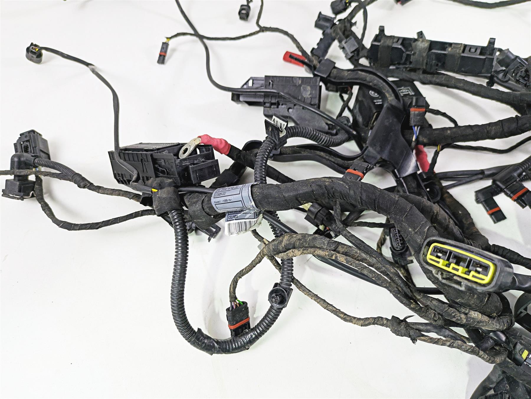2017 BMW R1200 GS K50 Main & Engine Wiring Harness Abs Esa - Read 61118350519 {{ shop.shopifyCountryName }} - Mototech271