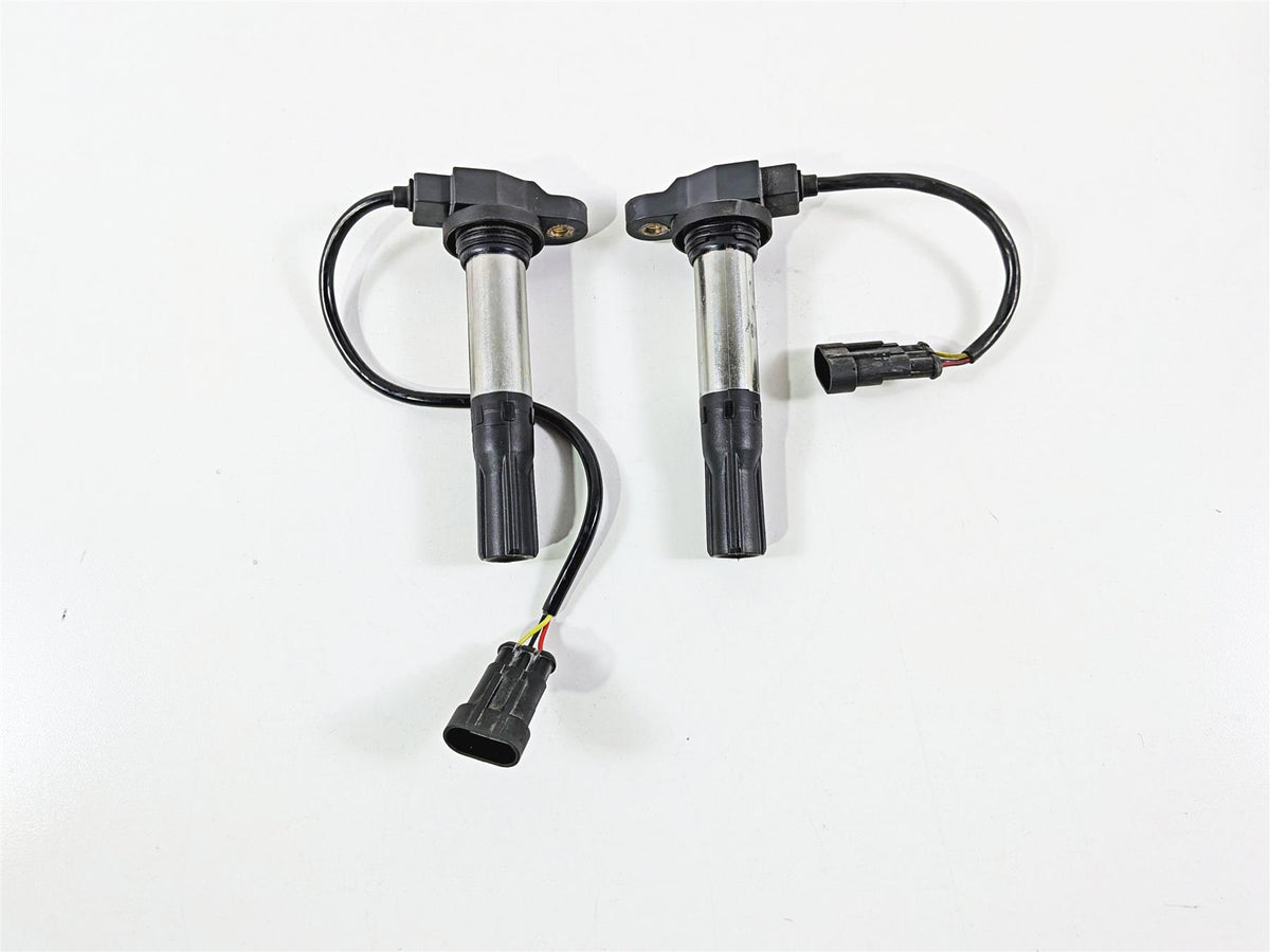 2016 Aprilia RSV 1100 Tuono V4 Factory 2 Eldor Ignition Coils 857084 857501 {{ shop.shopifyCountryName }} - Mototech271