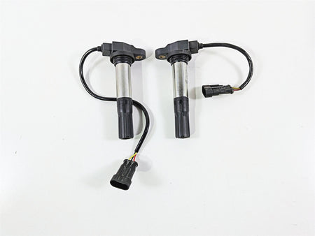 2016 Aprilia RSV 1100 Tuono V4 Factory 2 Eldor Ignition Coils 857084 857501 {{ shop.shopifyCountryName }} - Mototech271