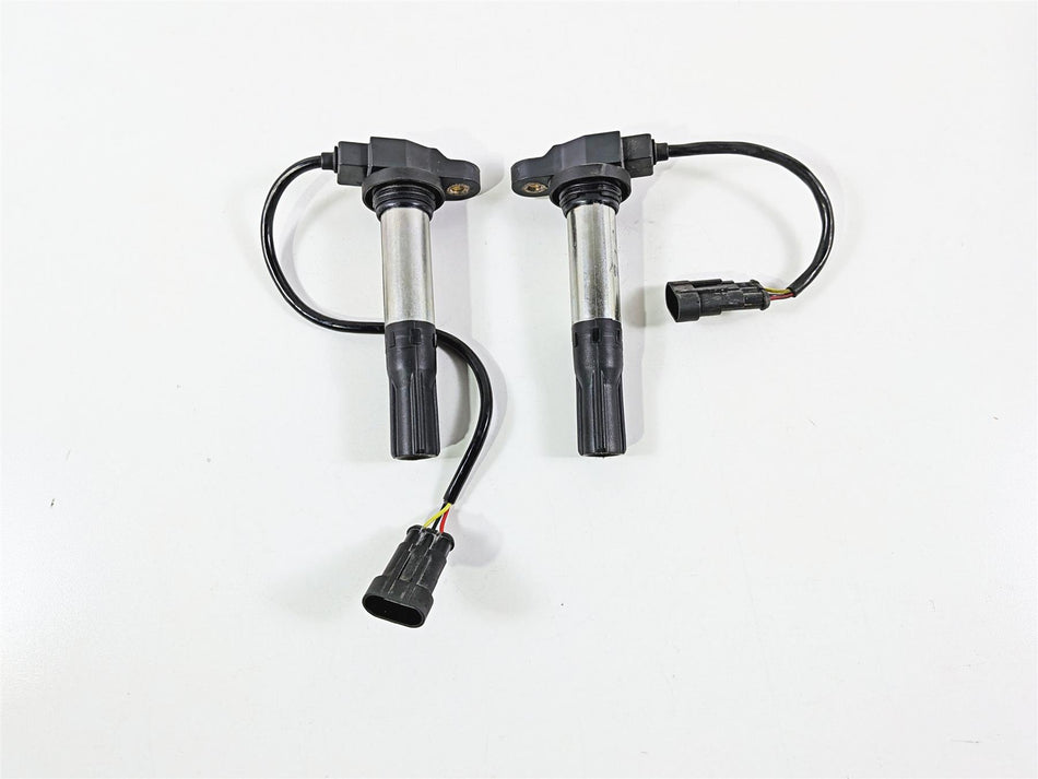 2016 Aprilia RSV 1100 Tuono V4 Factory 2 Eldor Ignition Coils 857084 857501 {{ shop.shopifyCountryName }} - Mototech271