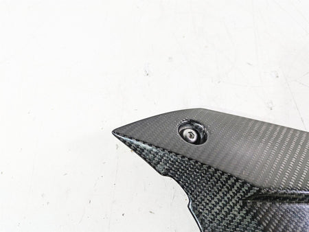2020 Triumph Daytona 765 Moto2 Carbon Fiber Rear Mud Flap Fender T2050614 {{ shop.shopifyCountryName }} - Mototech271