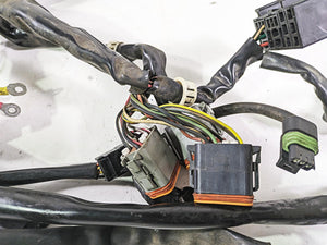 2003 Harley Dyna FXDL Low Rider 100TH Wiring Harness Loom -No Cuts 69558-01 | Mototech271