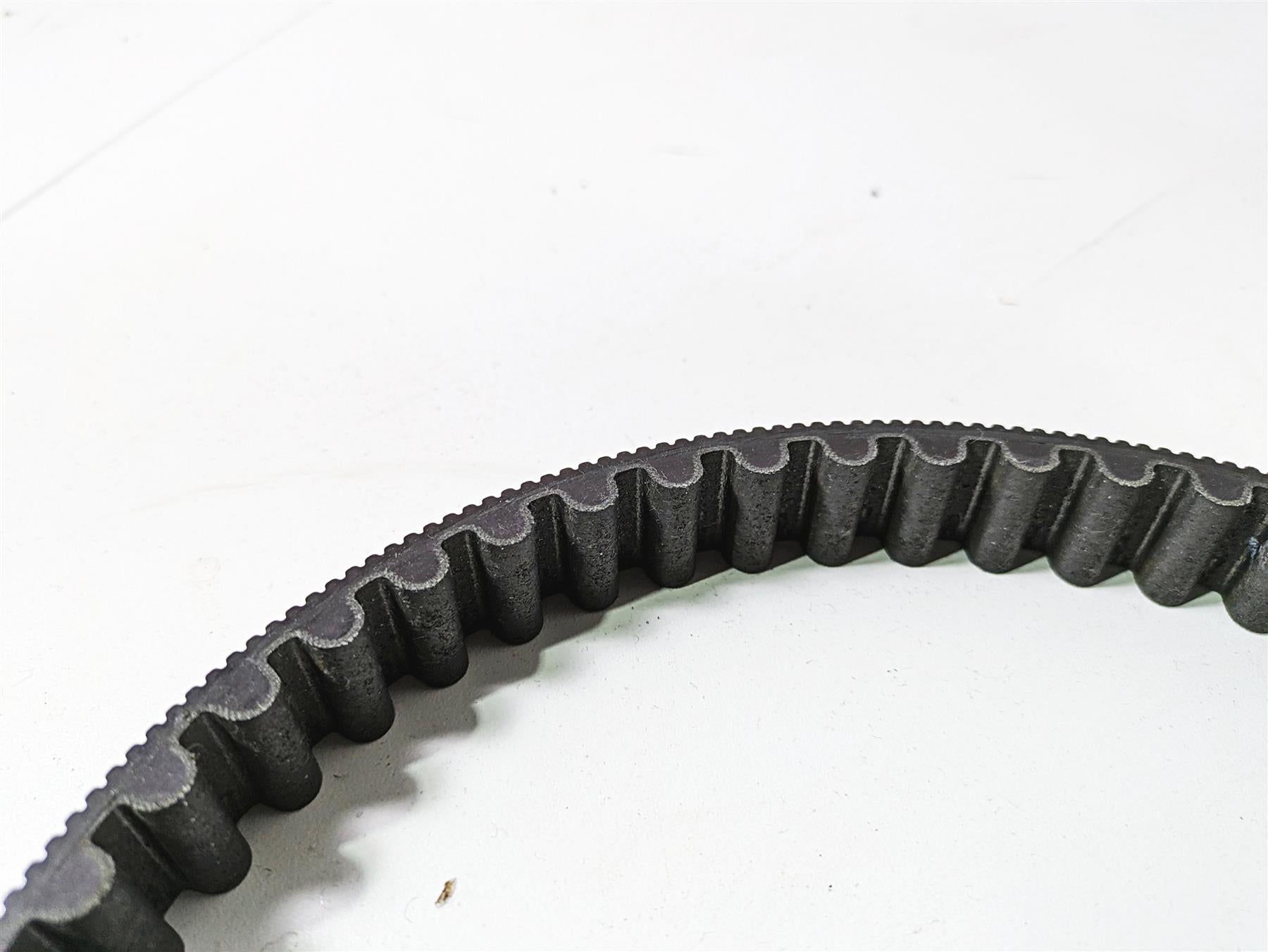 2020 Harley Touring FLHT Electra Glide Rear Drive Belt 140t 24mm 40024-09A {{ shop.shopifyCountryName }} - Mototech271