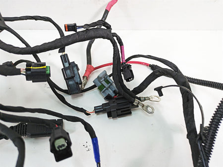 2022 Harley RA1250 S Pan America Main Wiring Harness Loom - No Cuts 69202185B {{ shop.shopifyCountryName }} - Mototech271