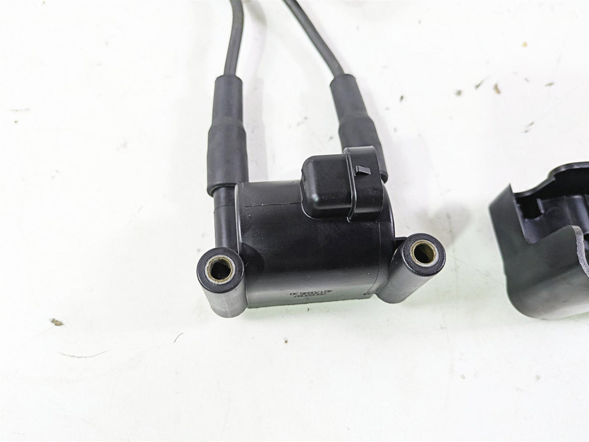 2015 Harley FXDL Dyna Low Rider Delphi Ignition Coil Wires Plugs 31696-07A {{ shop.shopifyCountryName }} - Mototech271