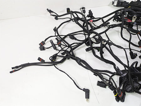 2016 BMW R1200RS K54 Engine & Main Wiring Harness Set 61118552124 12518544470 {{ shop.shopifyCountryName }} - Mototech271