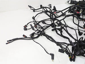 2016 BMW R1200RS K54 Engine & Main Wiring Harness Set 61118552124 12518544470 | Mototech271