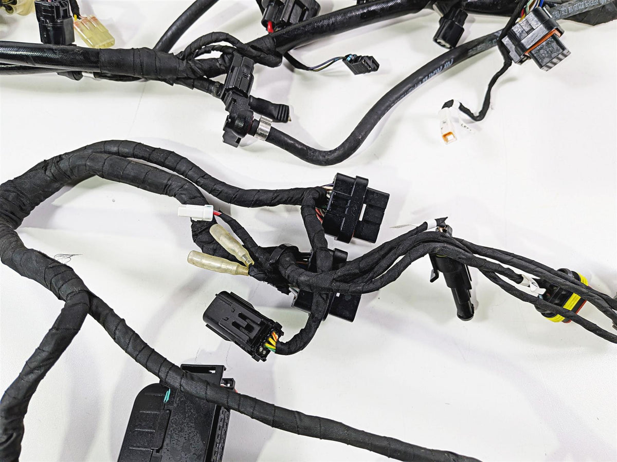 2019 Ducati 959 Panigale Main Wiring Harness Loom - No Cut 5101B071B {{ shop.shopifyCountryName }} - Mototech271