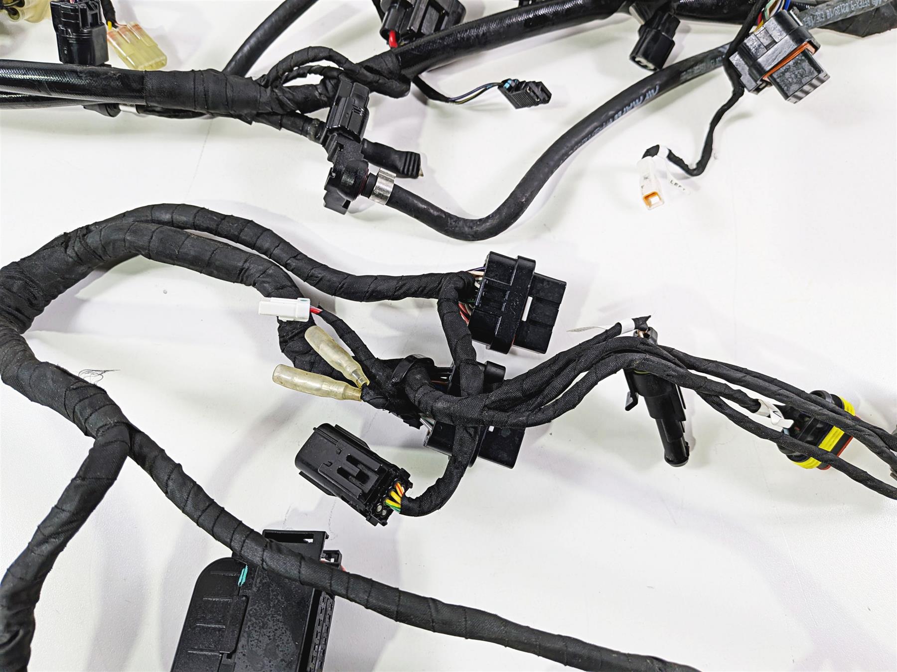 2019 Ducati 959 Panigale Main Wiring Harness Loom - No Cut 5101B071B {{ shop.shopifyCountryName }} - Mototech271