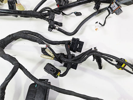 2019 Ducati 959 Panigale Main Wiring Harness Loom - No Cut 5101B071B {{ shop.shopifyCountryName }} - Mototech271