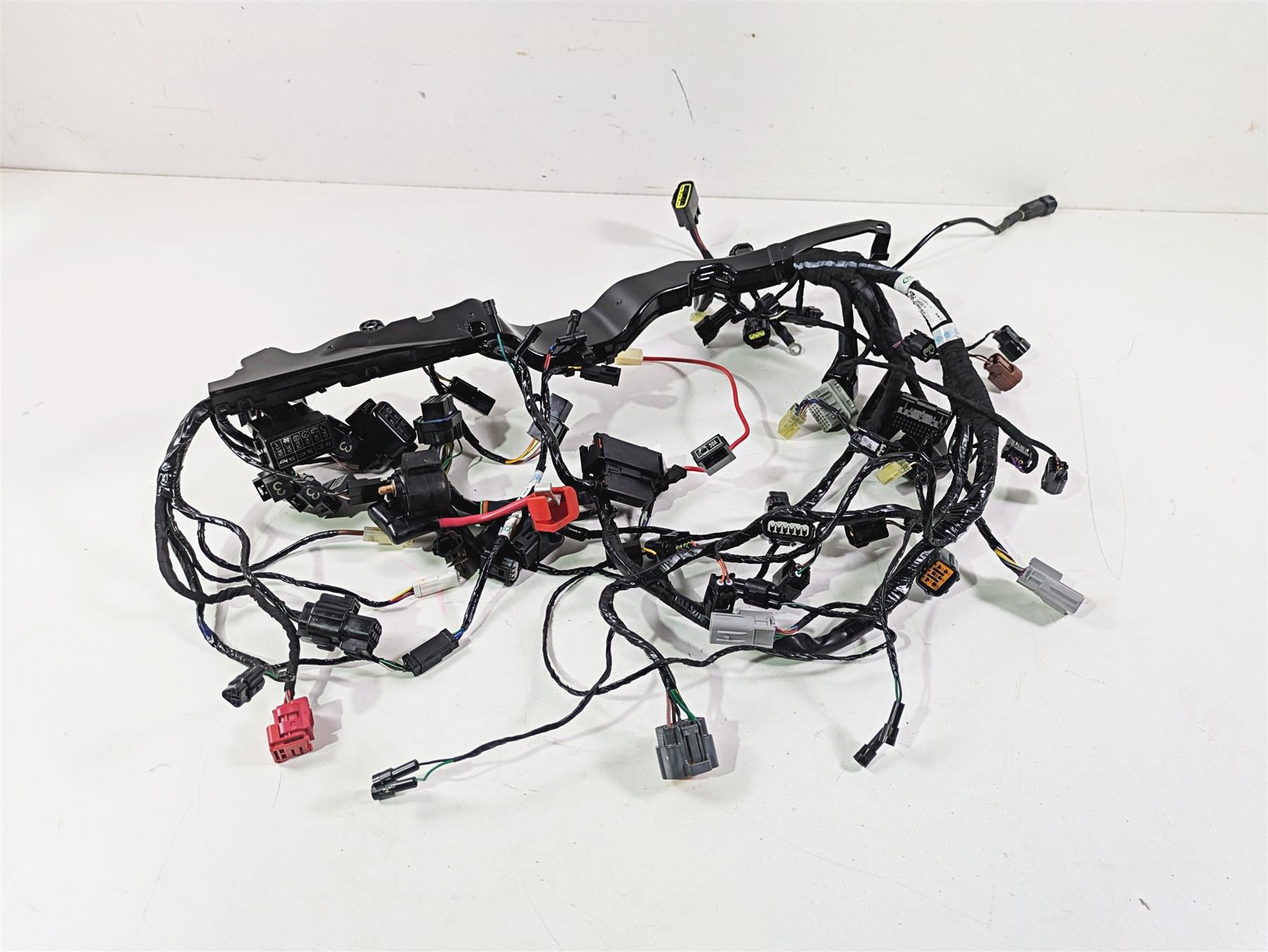 2024 Triumph Street Triple 765 R Main Wiring Harness Loom - No Cuts T2509765