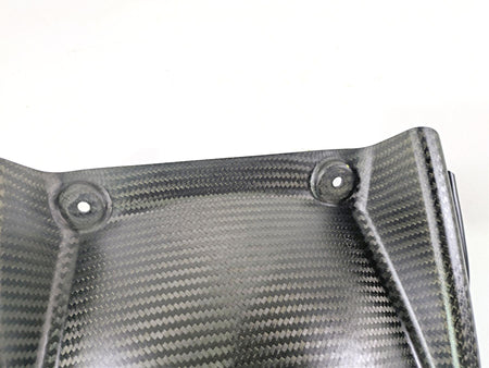 2017 Aprilia RSV 1100 Tuono V4 Factory Rear Carbon Fiber Fender Guard 890969 {{ shop.shopifyCountryName }} - Mototech271