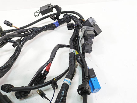 2011 Triumph America Main Wiring Harness Loom - No Cuts T2507611 {{ shop.shopifyCountryName }} - Mototech271