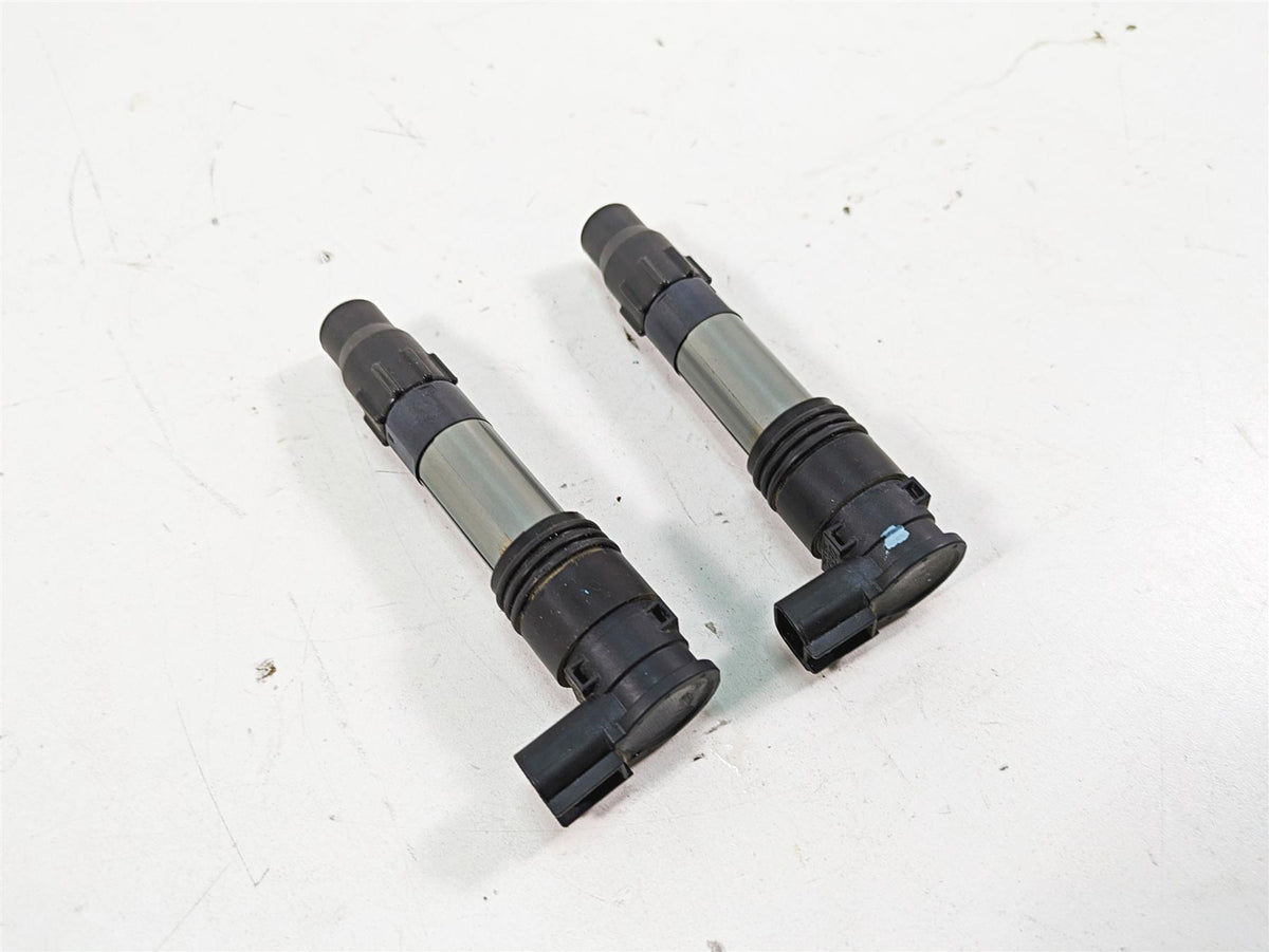 2016 Kawasaki Ninja EX300 Denso Ignition Coil Set 21171-0033 129700-5430 {{ shop.shopifyCountryName }} - Mototech271