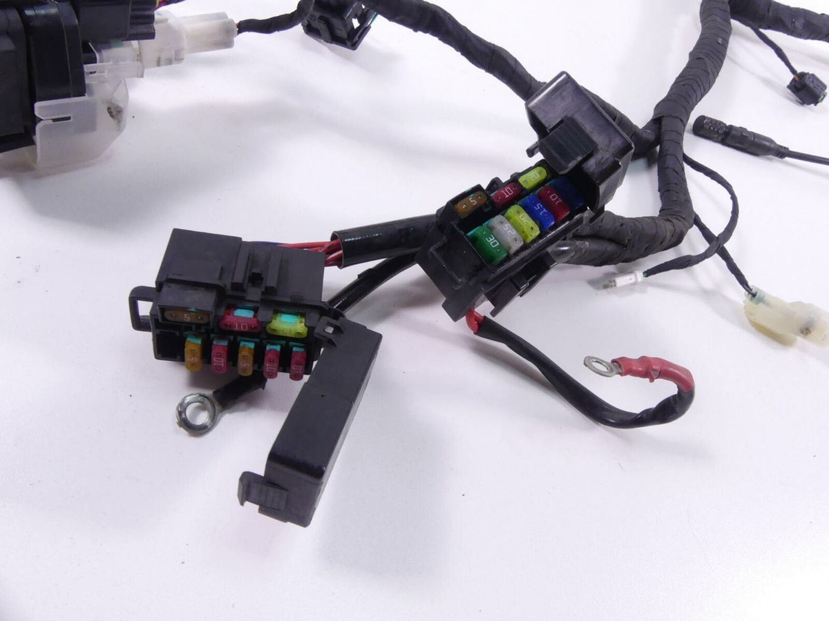 2014 Ducati 899 Panigale Wiring Harness Loom - No Cuts 51019671A {{ shop.shopifyCountryName }} - Mototech271