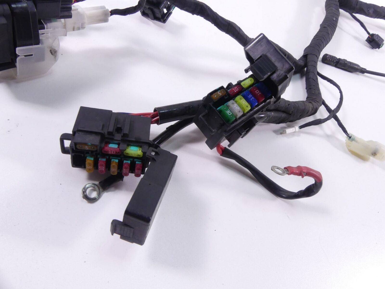 2014 Ducati 899 Panigale Wiring Harness Loom - No Cuts 51019671A {{ shop.shopifyCountryName }} - Mototech271