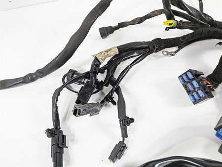 2006 Harley Davidson Dyna FXDBI Street Bob Wiring Harness Loom - Read 69602-06 {{ shop.shopifyCountryName }} - Mototech271