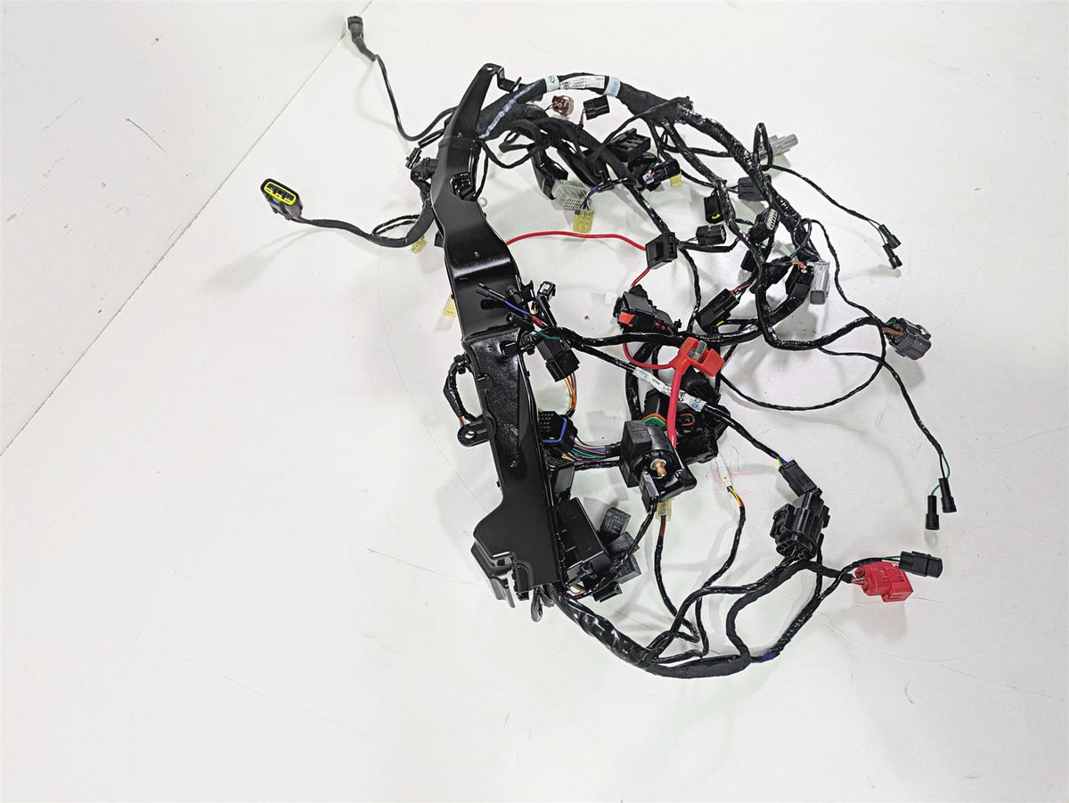 2024 Triumph Street Triple 765 R Main Wiring Harness Loom - No Cuts T2509765 {{ shop.shopifyCountryName }} - Mototech271