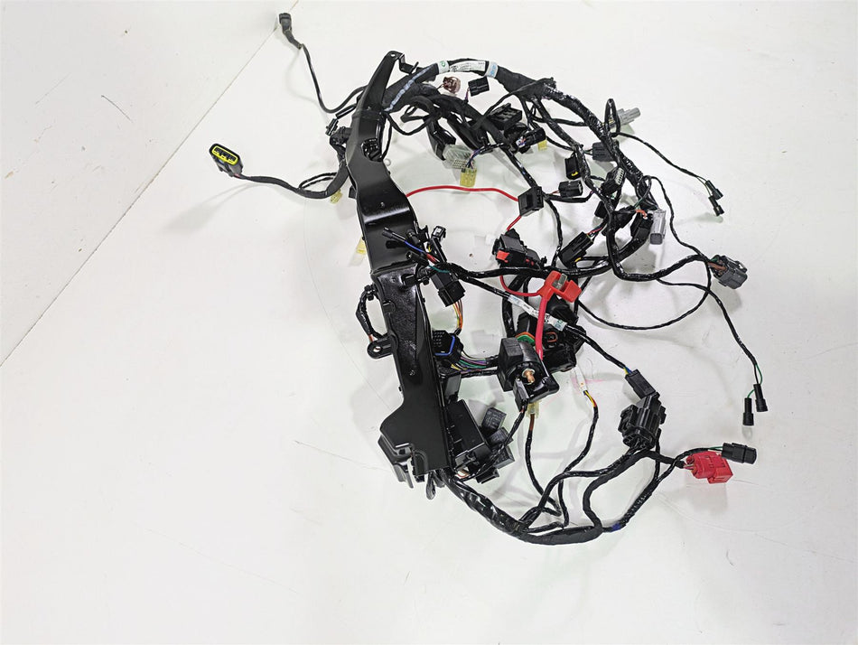 2024 Triumph Street Triple 765 R Main Wiring Harness Loom - No Cuts T2509765 {{ shop.shopifyCountryName }} - Mototech271