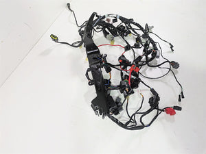 2024 Triumph Street Triple 765 R Main Wiring Harness Loom - No Cuts T2509765
