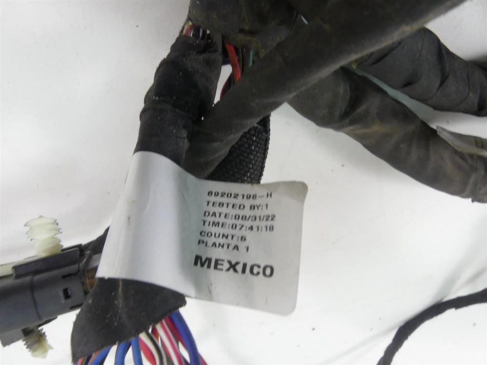 2022 Harley Softail FXBBS Street Bob Main Wiring Harness Loom - No Abs 69202198 {{ shop.shopifyCountryName }} - Mototech271