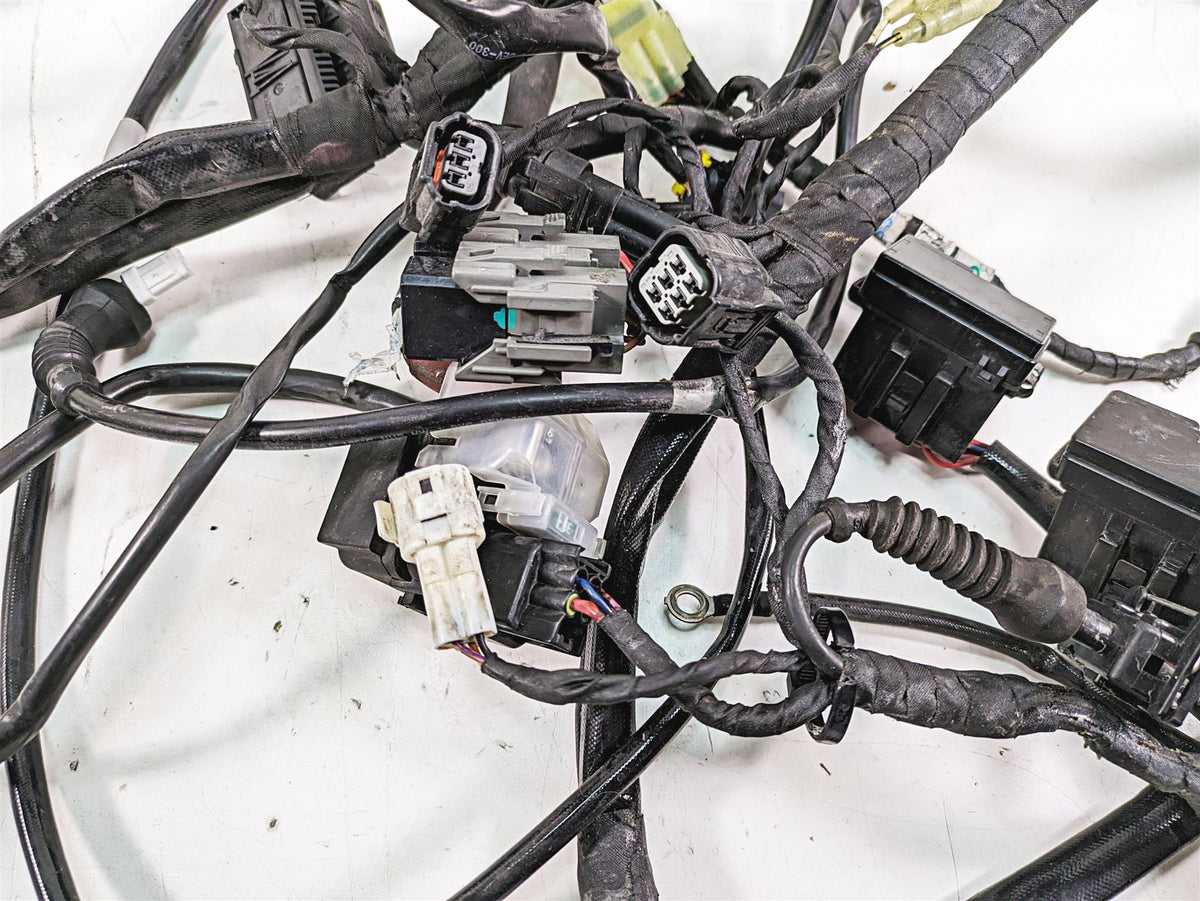 2016 Ducati Panigale 1299 S Wiring Harness Loom -Read 5101A011D {{ shop.shopifyCountryName }} - Mototech271