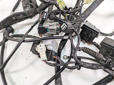 2016 Ducati Panigale 1299 S Wiring Harness Loom -Read 5101A011D {{ shop.shopifyCountryName }} - Mototech271