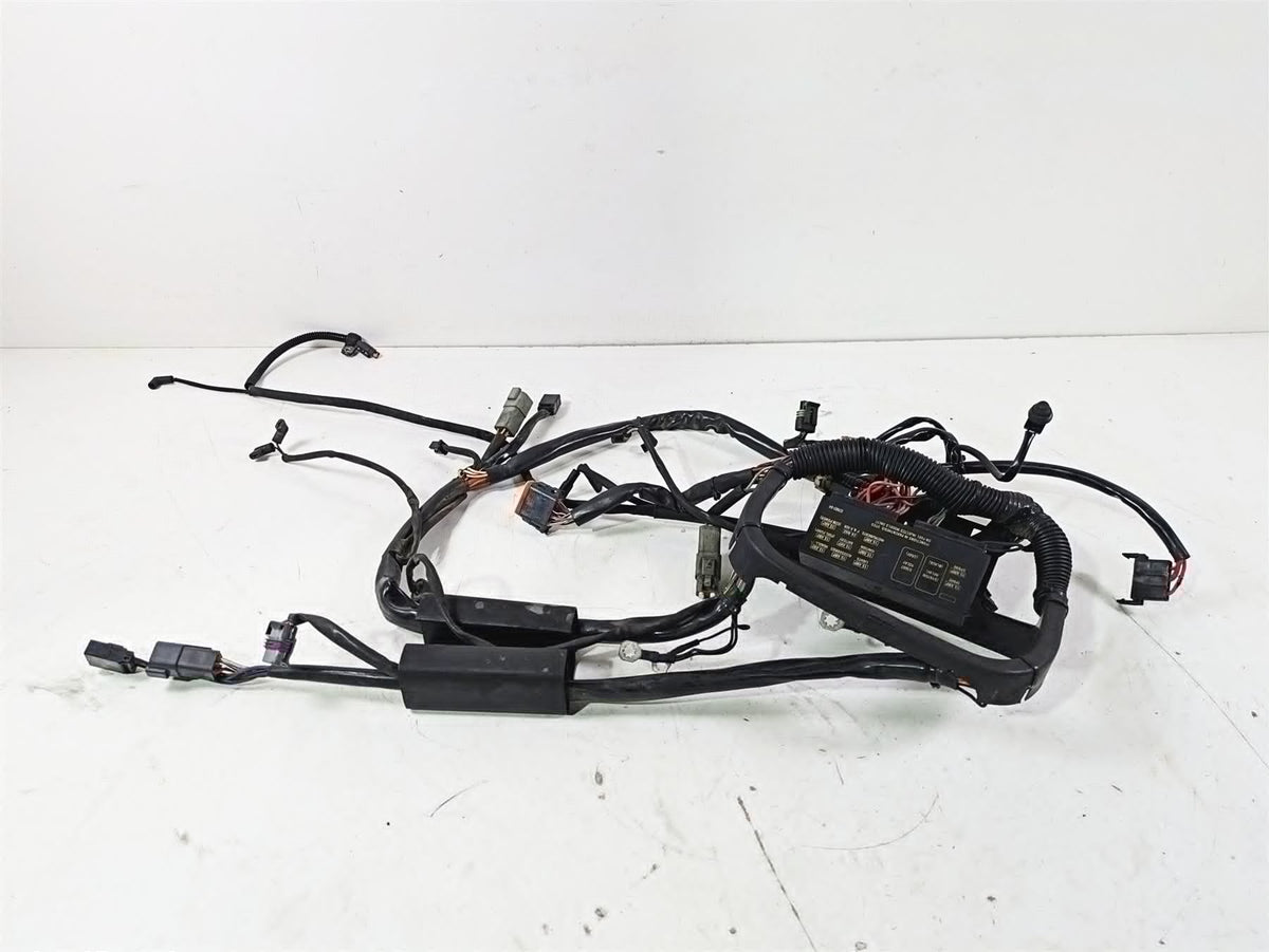 2004 Harley Softail FLSTF Fat Boy Main Wiring Harness Carb - No Cuts 70216-04A {{ shop.shopifyCountryName }} - Mototech271